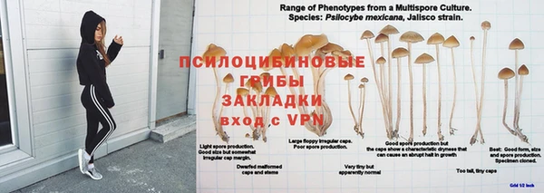 прущая мука Абдулино