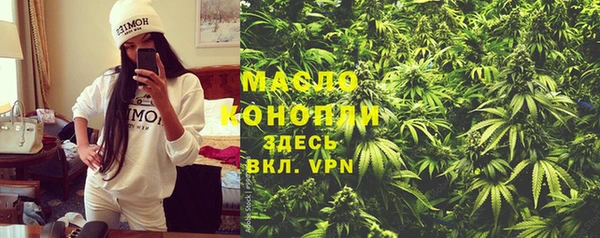 тгк Абаза