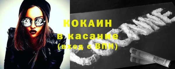 тгк Абаза