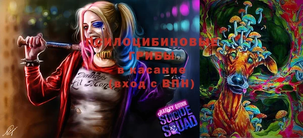 дурь Алзамай
