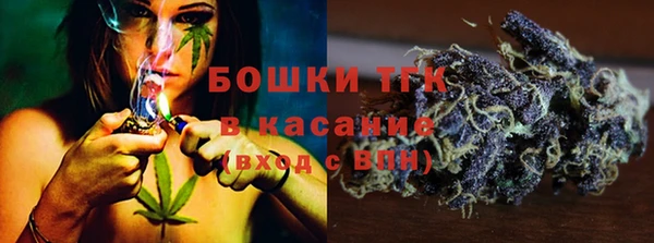тгк Абаза