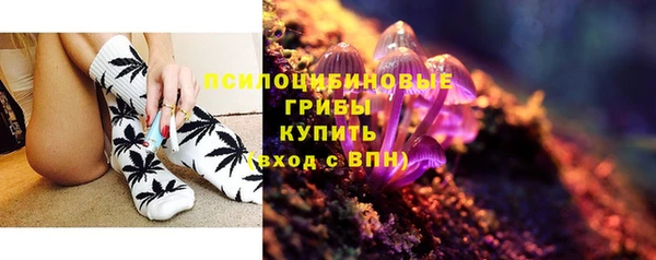 героин Алексин
