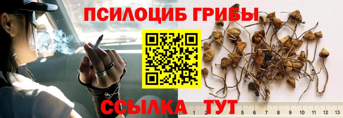 Псилоцибиновые грибы Magic Shrooms Дзержинск